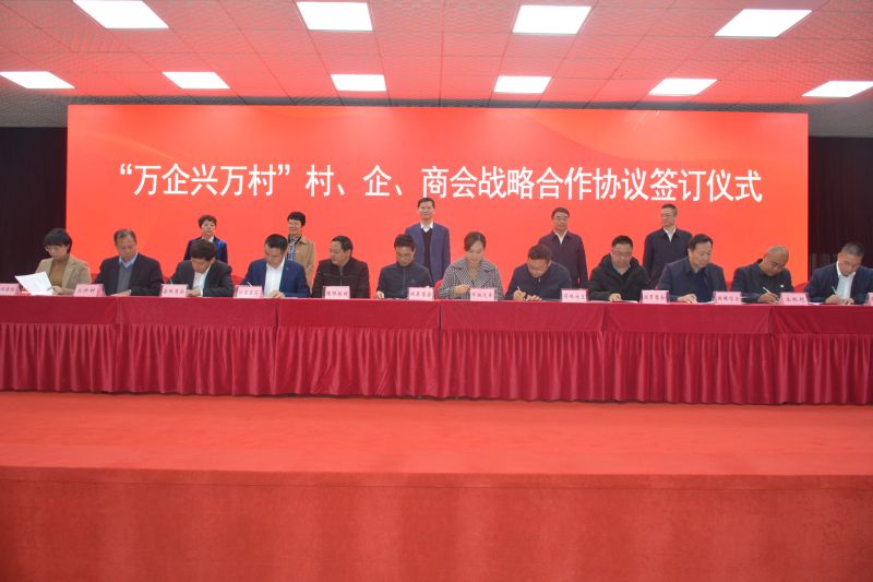 1xBET信安杨涛董事长参加长沙市“万企兴万村”行动推进会及签订仪式